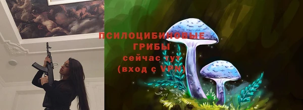 мдпв Арсеньев
