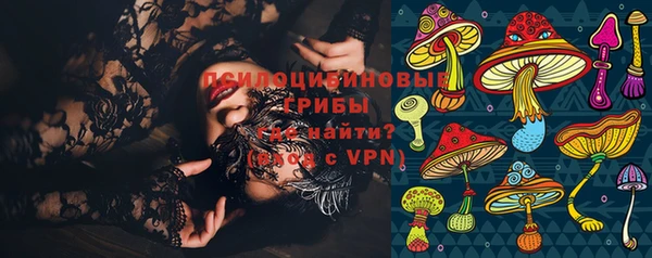 хмурый Аркадак
