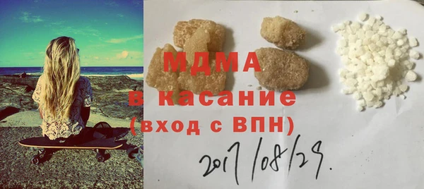 хмурый Аркадак